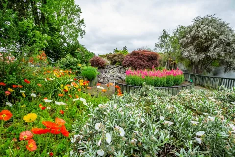 Private Family Heritage Walk in Historic Adelaide in Adelaide