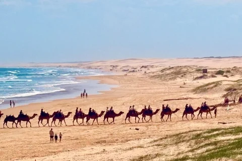 Day Tours Anna Bay and Nelson Bay Port Macquarie North Coast NSW in Sydney