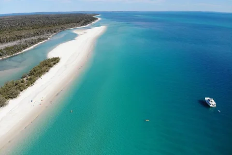 K'gari (Fraser Island) West Coast Half Day Cruise from Hervey Bay in Hervey Bay