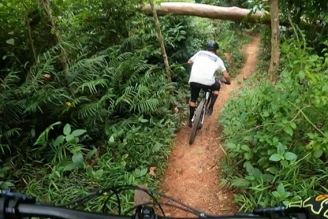 Mountain Bike Tour Cairns in Cairns