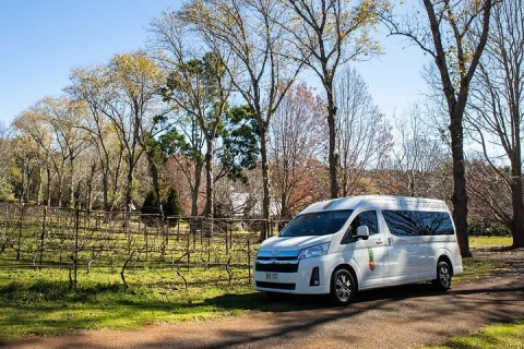 Gold Coast: Hop on Hop off Wine Tasting Tour Tamborine Mountain in Gold Coast