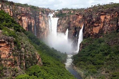 Kakadu National Park Scenic Flight &Yellow Water Cruise in Darwin