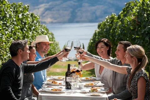 Red Therapy | Wine Tour in Mornington Peninsula (Private Tour in Melbourne