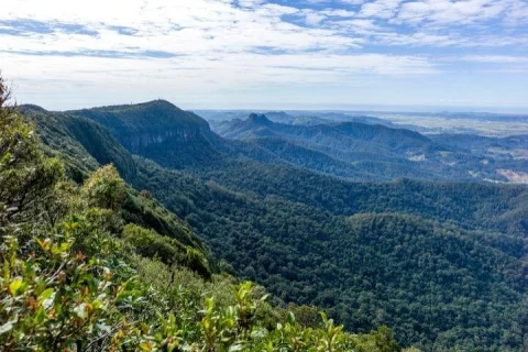 Spring Brook National Park Self Guided Driving Tour in Gold Coast