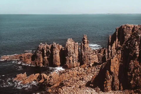 Small Group Phillip Island Penguins & Hiking Tour (4, 11 guests in Melbourne