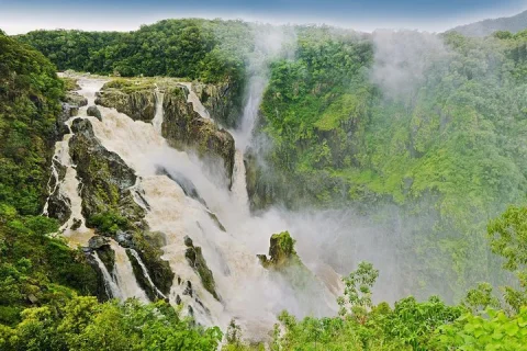 Private Half Day Tour: World Heritage Rainforest & Waterfall in Cairns