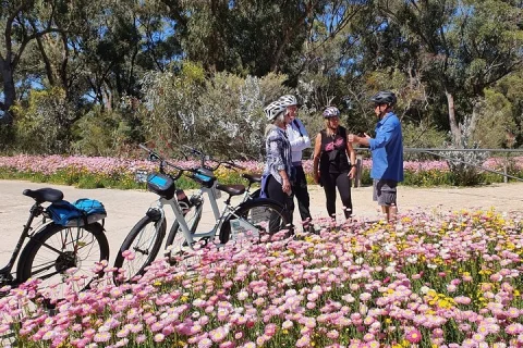 Pedals & Petals Discovering Wildflowers Bike Tour Kings Park in Perth