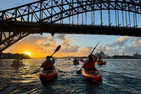 Sunrise Paddle Session on Sydney Harbour (single kayak in Sydney