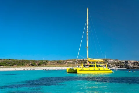 Carnac Island Half Day Sail in Fremantle