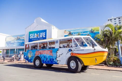Aquaduck Sunshine Coast 1hr Mooloolaba Amphibious Tour in Sunshine Coast