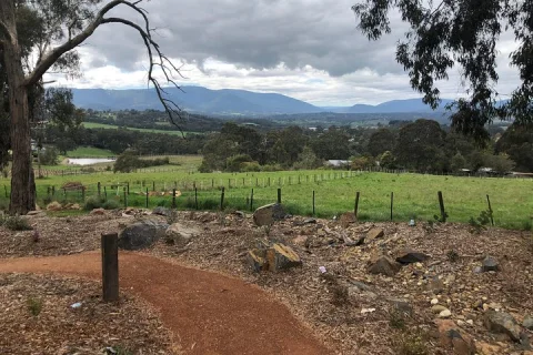 Yarra Valley Wine Tour inc lunch with a glass of wine, tastings and chocolate in Melbourne