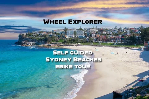 Self Guided Electric Bike Tour of Sydney Beaches in Potts Point