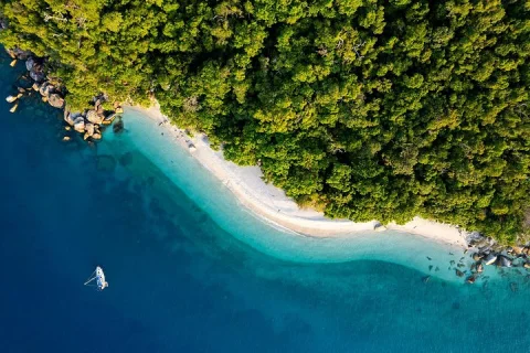 Half Day Morning Adventure Fitzroy Island Return Ferry Included in Cairns