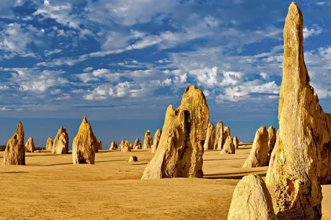 6 Hours Pinnacles Express Tour in Perth
