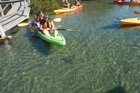 Batemans Bay Glass Bottom Kayak Tour Over 2 Relaxing Hours in Batemans Bay