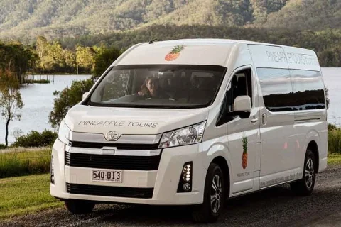 Mount Tamborine Winery Tour with Lunch from Brisbane in Brisbane