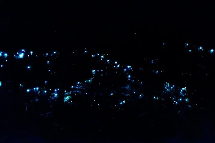 Experience photo 1.
