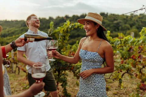 Hunter Valley All Inclusive, Wine, Chocolate Tasting and Lunch in Sydney