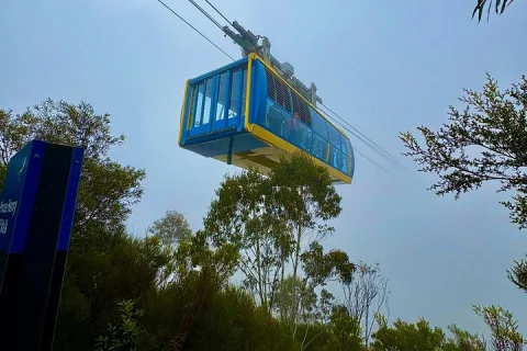 Blue Mountains Day Tours W Scenic World and Lunch from Sydney in Sydney