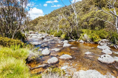 Snowy Mountains NSW Private Tour 3 Days Pick up & Drop off in Sydney