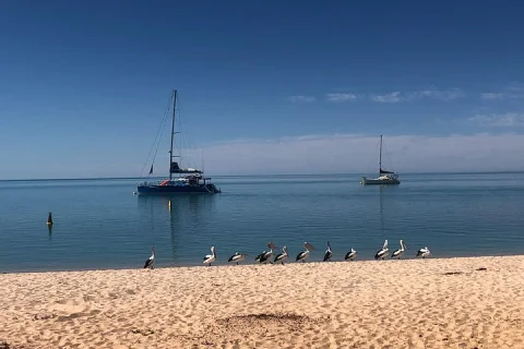 10 Days Guided North Tour from Perth to Exmouth in Perth