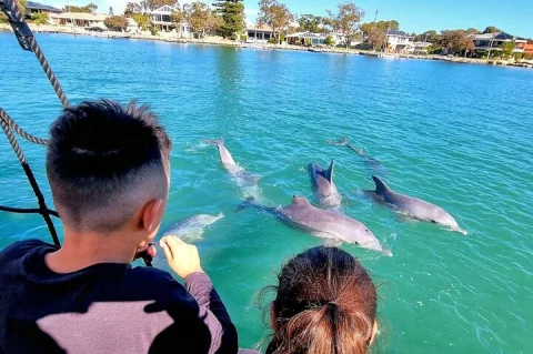 3D1N Perth: Margaret River, Stargazing, Pink Lake & Pinnacles in Perth