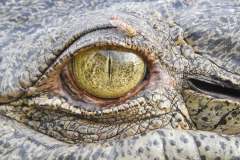 Kakadu National Park tour in Australia with lunch in Darwin
