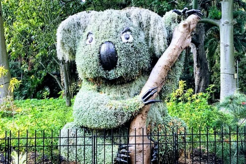 Discover Sydney Botanic in Sydney