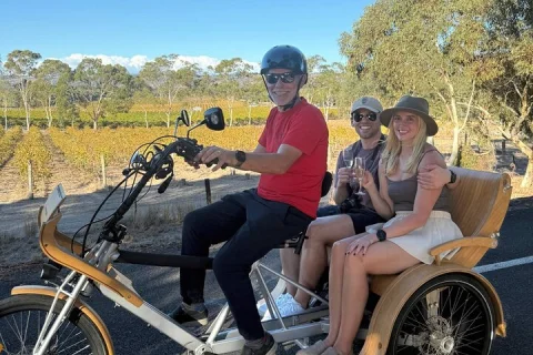 eTukTuk Adventure from Oxenberry Farm in McLaren Vale in McLaren Vale