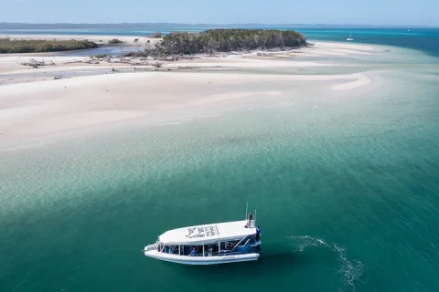 Great Sandy Straits Seven Island Ultimate Wildlife Cruise in Hervey Bay
