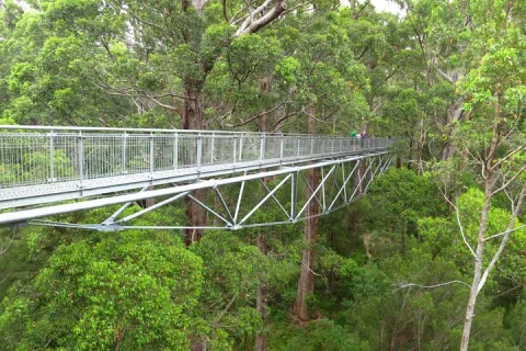 Albany Southwest Wilderness Day Tour Fly From Perth in Jandakot