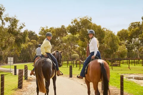 Romantic Vineyard Horse Riding and Picnic in Rowland Flat