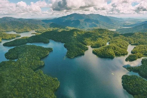 30 minute Rainforest Scenic Flight in Cairns