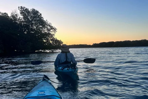 Dolphin Sanctuary Kayak Tours Twilight Mangrove Kayak in Garden Island