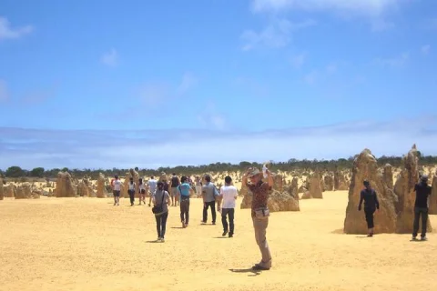 Pinnacles & Rottnest Island Scenic Air & Ground Tour in Jandakot
