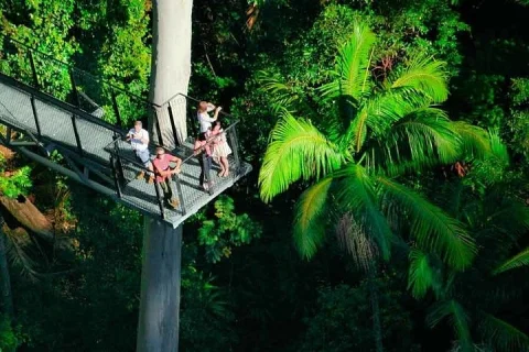Gold Coast: HOHO Tamborine Rainforest Skywalk + Glow Worm Caves in Gold Coast