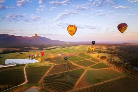 Hunter Valley Day Tour in Sydney