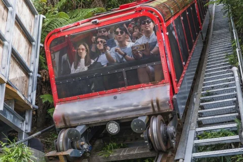 Blue Mountains Sydney Zoo, Scenic World from Sydney All Inclusive in Sydney
