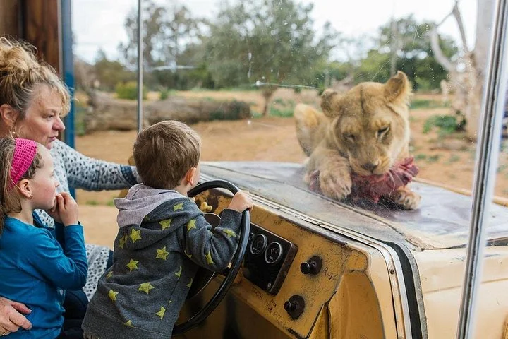 Experience photo 1.