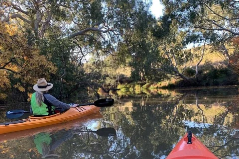 Kayaking in Geelong Victoria in Geelong