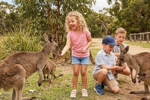 Royal Nature Tour in Sydney