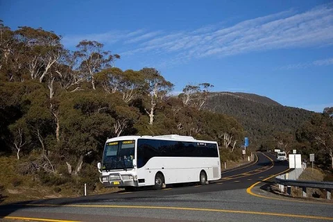 Thredbo or Perisher Bus Trip from Canberra in Australian Capital Territory