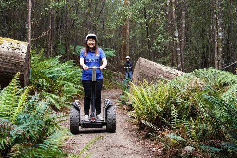 Launceston: Hollybank Treetops Adventures Segway Tour in Launceston