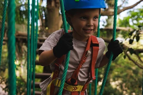 Canberra Junior Tree Ropes Course in Canberra