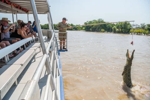 Spectacular Jumping Crocodile Cruise with Darwin Transfer Bus in Darwin