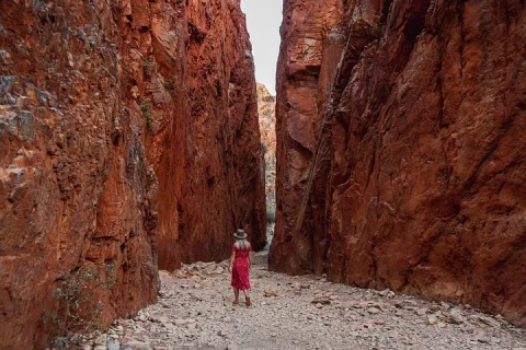 West MacDonnell Ranges National Park Tour from Alice Springs in Alice Springs