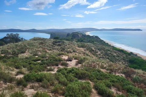 Signature Bruny Island Tour Hobart & SE Tasmania in Hobart