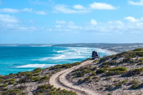 Port Lincoln National Park Half day Tour in Port Lincoln