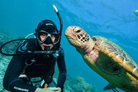 Learn to Dive on the Great Barrier Reef in Cairns