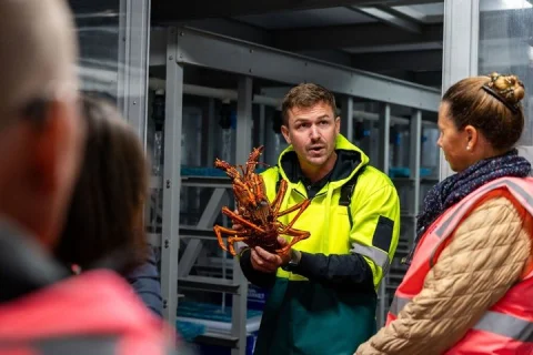 Sydney Fish Market Tours in Sydney